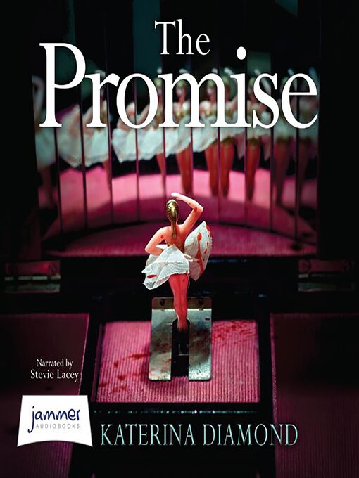 Cover image for The Promise